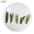 China Loose Leaf Organic Jasmine Silver Needle Tip  White Tea